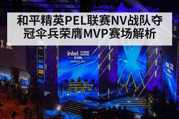 和平精英PEL联赛NV战队夺冠伞兵荣膺MVP赛场解析