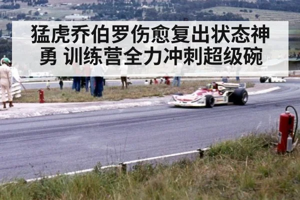 猛虎乔伯罗伤愈复出状态神勇 训练营全力冲刺超级碗