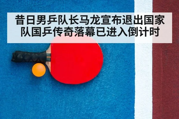 table tennis racket and ball closeup